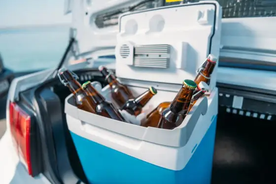 Jaka lodówka do busa? Wybierz idealną dla siebie!